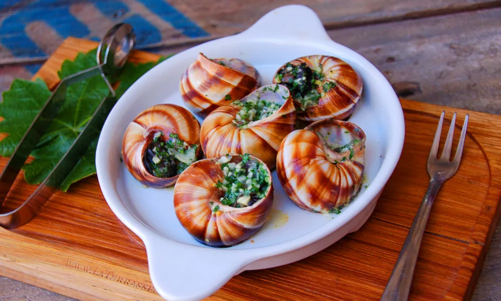 Cocina Internacional en Tijuana