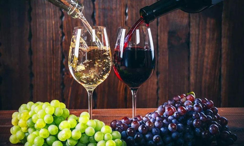 Degusta los mejores vinos sin salir de la ciudad